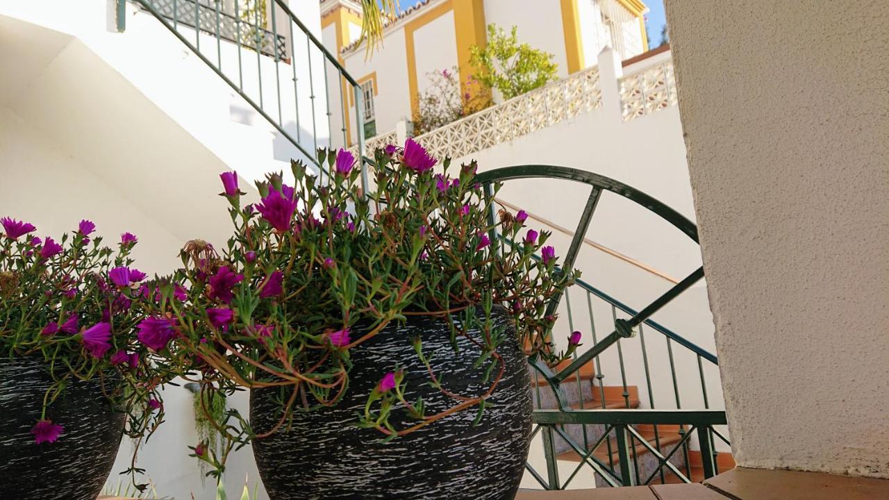 Guest house Carmen -- Boutique By The Sea 3*